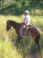 JOSE ROMERO - Jose was born in the Northern Region of Costa Rica, where farming and rachwork have been the primarity oil of the local economy since the colonial days. Although, Jose has been riding since he was 6, even bareback, he claimes to have achieved the most miles in the saddle under his belt in the last couple of years with us! Jose's incredible enthusiams and passion for Costa Rica and things natural add an extra dimension - making your riding not only an adventurous and rewarding vacation but also highly educational experience from a Cultural and Natural view point. Thus, Jose is a fully licensed and bilingual guide who has qualified training in First Aids and CPR, and his rural background adds an unique knowledge base of the local communities and natural environments.