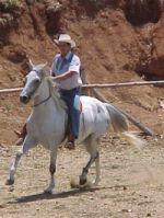 ROY SANDOVAL - Although he has been riding from his tender years and has been in a close contact with horsebreeding and care, he dedicated part of his twenties to persue personal goals. Now, he has taken over the families horse breeding programme and started to compete at National leves for their fine horses and training skills. Roy has won the second place in the Costa Rican Paso Breed parades, where the equines that resemble the true soul of what a Costa Rican Paso is are selected. Roy is not only EcoSafari's advisor in terms of horse care and diet requirements involved in the Inn to Inn rides; but ocasionally, he can escort some special rides personally. 